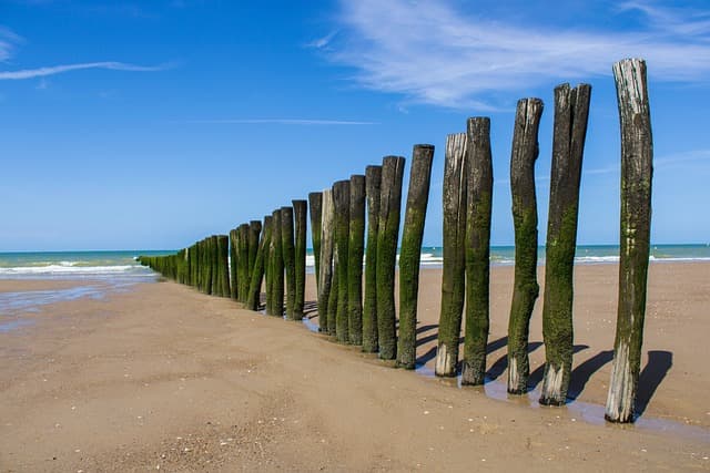 Guide d'achat : meilleures serviettes de plage 2026